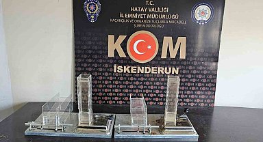 Hatay'da kaçak tütün operasyonu