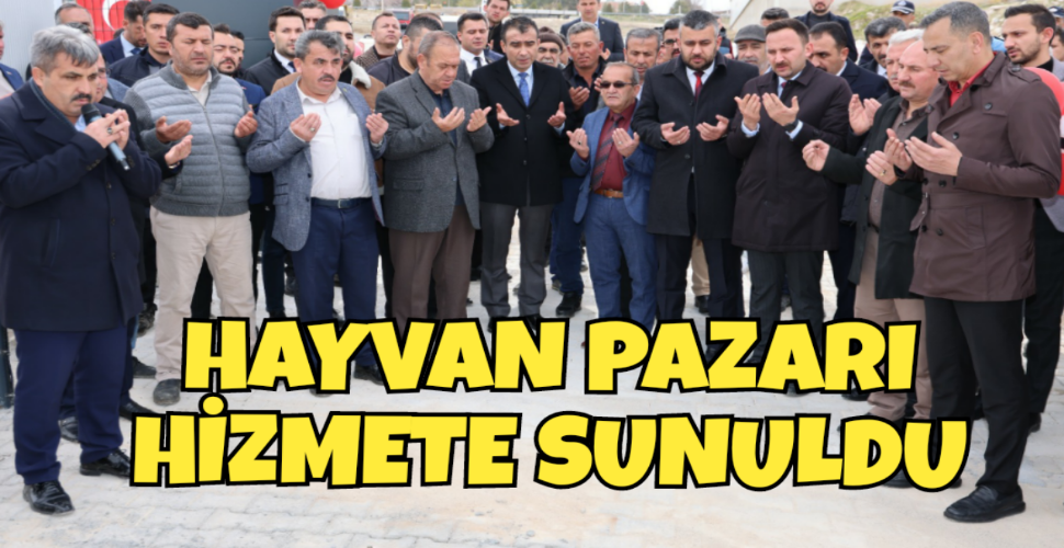 HAYVAN PAZARI HİZMETE SUNULDU