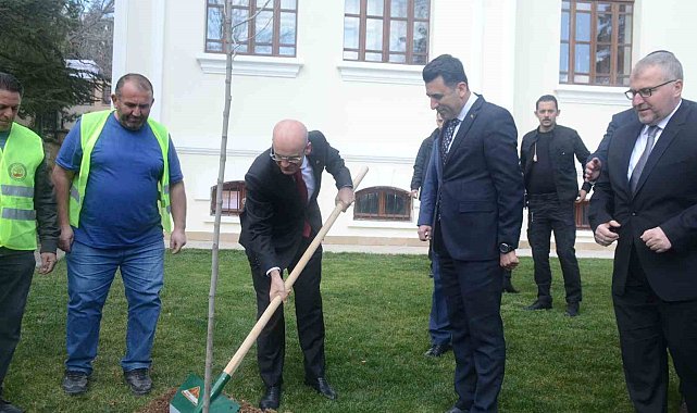 Hazine ve Maliye Bakanı Mehmet Şimşek Bilecik'te çınar fidesi dikti