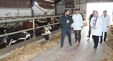 Hibe desteğiyle başladı başarılı bir şekilde devam ediyor