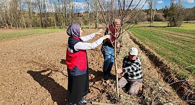 Hisarcık'ta meyve ağaçlarında uygulamalı budama eğitimi