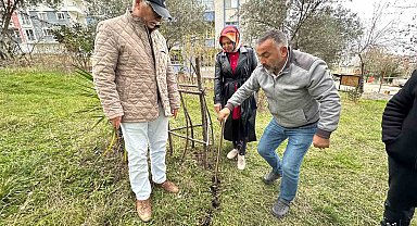 İnşaat temel kazısında tedirgin eden görüntü