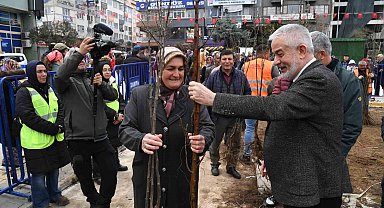 Isparta Belediyes, 32 bin adet ücretsiz meyve fidanı dağıtacak