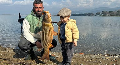 İznik Gölü'nde sazan bereketi