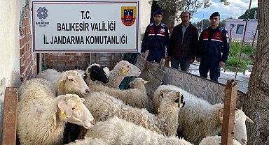 Jandarma EFT dolandırıcılarını yakaladı