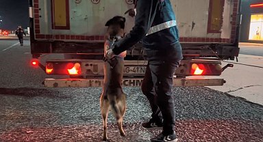Jandarmadan 'Zıpkın-4' operasyonu