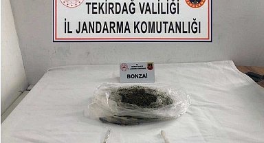 Jandarmadan uyuşturucu baskını