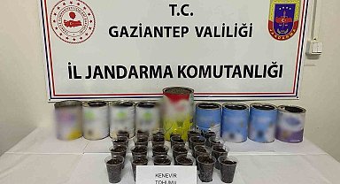 Jandarmadan uyuşturucu operasyonu