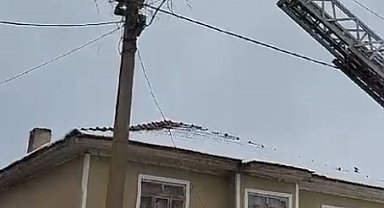 Kara yakalanan leylekleri itfaiye ekipleri besledi