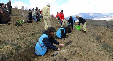 Karabük'te 3 bin 500 fidan toprakla buluşturuldu