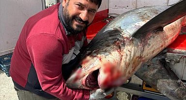 Karataş açıklarında 200 kiloluk köpek balığı ağlara takıldı