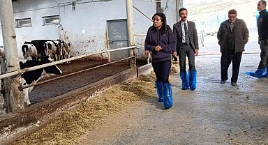 Kaymakam Kılıçtürk, üreticileri ziyaret etti