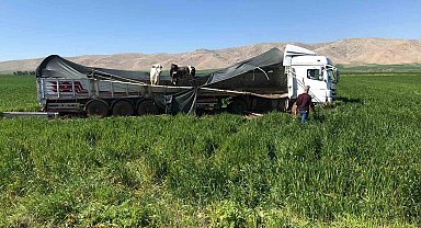 Kaza yapan tırdaki inekler Uluslararası İpekyolu'na indi