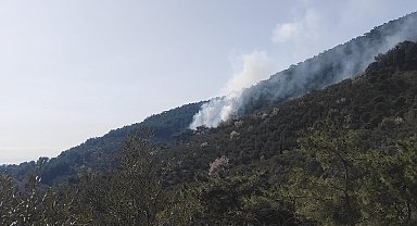 Kazdağları'nda orman yangını