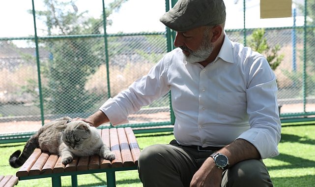 Kocasinan'dan Küçük Dostlara Yaşam Merkezi; 'Sen'Patı Park'