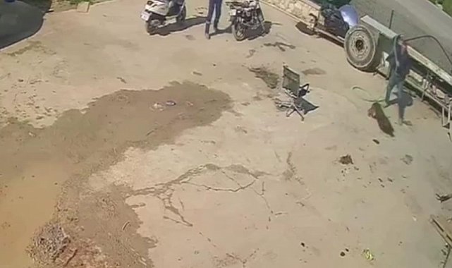 Köpeğe saldırana ev hapsi, izleyene barınakta çalışma cezası verildi