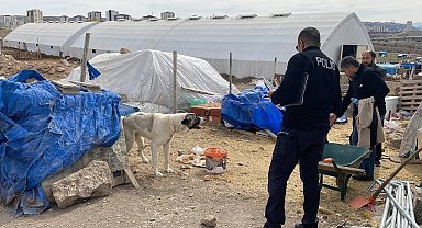 Köpeğin ısırdığı çocuk ağır yaralandı