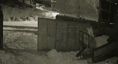Köye inen aç kurtlar dehşet saçtı