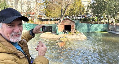 Kuğulu Park'ın yeni dünyaya gelen yavru siyah kuğularına yoğun ilgi