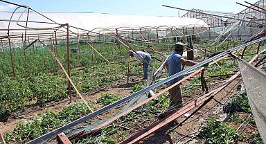 Kumluca'da hortum afetinden 265 dönüm alanda 111 üretici etkilendi