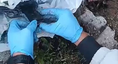 Kütahya ve Afyonkarahisar'da kaçak silah ticareti operasyonu: 6 gözaltı