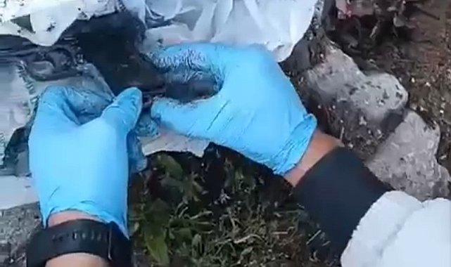 Kütahya ve Afyonkarahisar'da kaçak silah ticareti operasyonunda 1 kişi tutuklandı