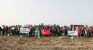 Kütahya'da fidan dikimi etkinliği