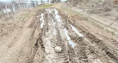Lavanta üreticisi bozuk olan yolun yapılmasını istiyor