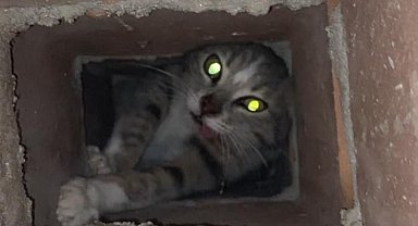 Manisa'da bacaya sıkışan kedinin imdadına itfaiye yetişti