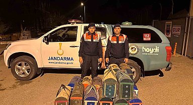 Manisa'da horoz dövüşüne suçüstü