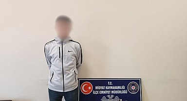Mardin'de hırsızlık şüphelisi 2 kişi tutuklandı