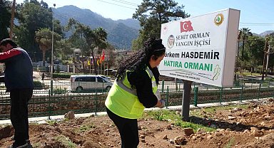 Marmaris'te binlerce fidan toprakla buluştu