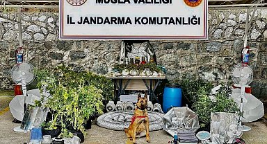 Marmaris'teki eve uyuşturucu baskını