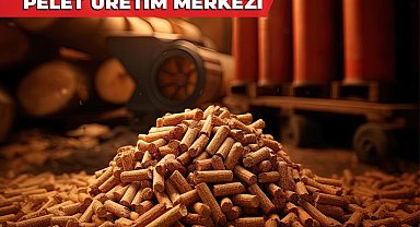 Merkezefendi'de parklardan toplanan kuru yapraklar ihtiyaç sahiplerine yakacak olacak