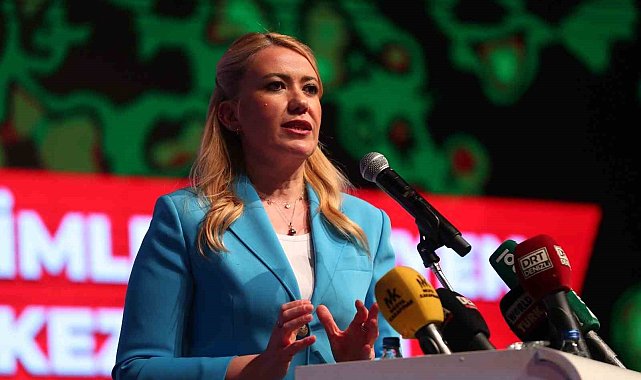 Merkezefendiden 'Taş Yayla Evleri' projesi