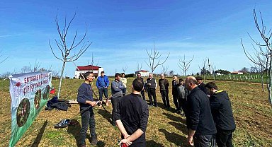 Meyvecilikte budamanın önemi ve budama sonrası dikkat edilecek hususlar