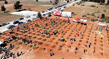 Muğla ve Aydın'da 50 bin fidan toprakla buluştu