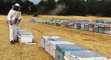 Muğla'da 7 bin 75 üreticiye 67,5 milyon TL destekleme ödemesi
