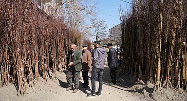 Muş'ta fidan satışları başladı