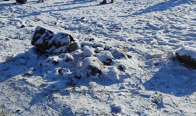 Niğde'de köpek dövüştüren 83 kişi suçüstü yakalandı