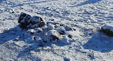 Niğde'de köpek dövüştüren 83 kişi suçüstü yakalandı
