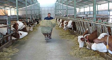 Öğretmenlik hayalini bıraktı çiftlik kurdu