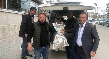 Osmaneli böğürtlenle renklenecek, ekilmedik alan kalmayacak
