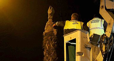Palmiyeler yaza hazırlanıyor