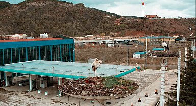 "Leylek Apartmanı" sakinleri yuvaya erken döndü
