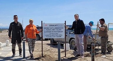 Sahillerde deniz kaplumbağalarına karşı uyarı levhaları