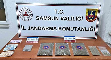 Samsun'da jandarma 1 kilo 50 gram bonzai ele geçirdi: 1 gözaltı