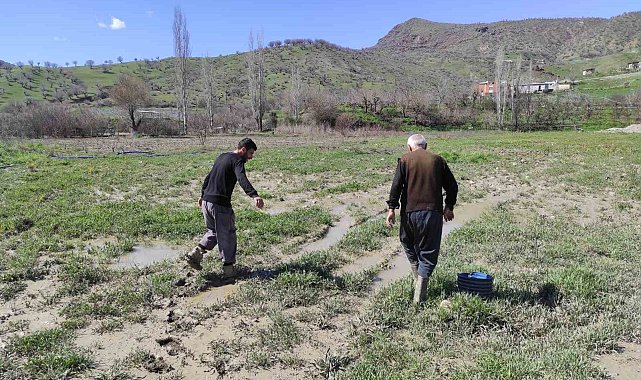 Sason'da şiddetli yağış sonrası dere taştı, çilek bahçesi su altında kaldı