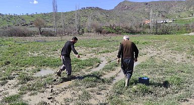 Sason'da şiddetli yağış sonrası dere taştı, çilek bahçesi su altında kaldı