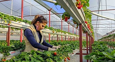 Seracılıkta kendini kanıtladı, şimdi başkalarını üretici yapmak istiyor